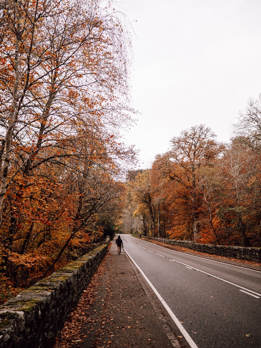 November News–NaNoWriMo